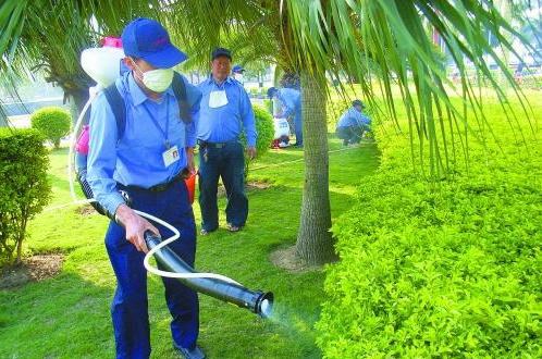 绿化带蚊绳治理