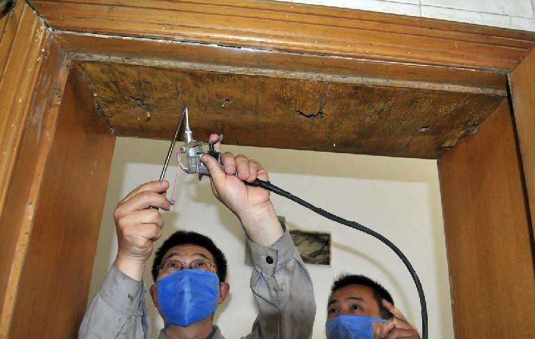家庭白蚁治理
