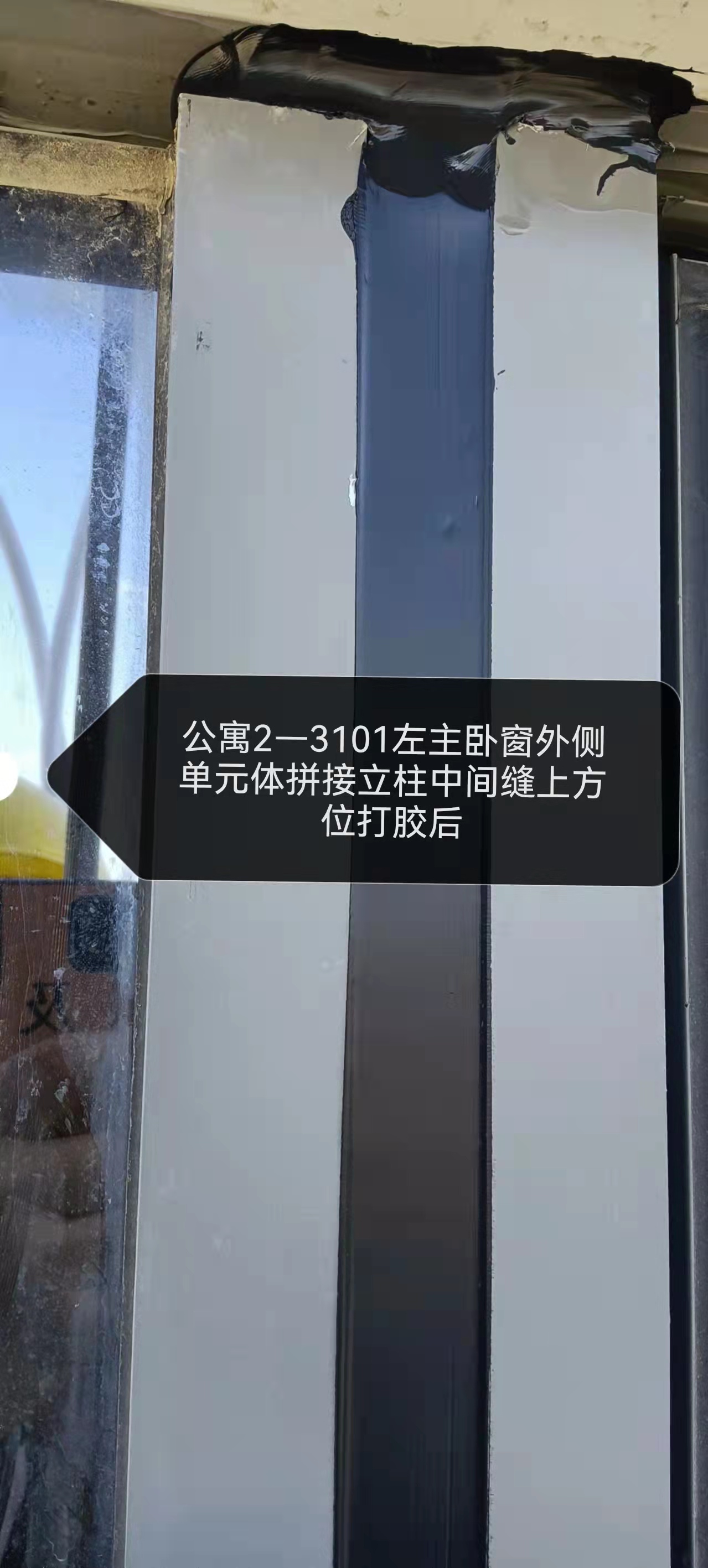 中山紫马奔腾幕墙维修